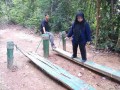 Tn DSC 6252